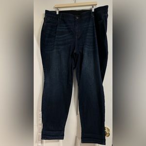 Venezia Exclusively from Lane Bryant size 22